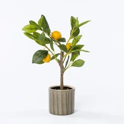 Maceta De Cerámica Zig Zag Verde 11cm