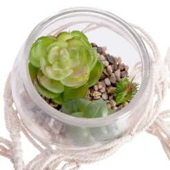 Maceta De Vidrio Colgante C/Planta