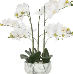 Maceta Efect.Mármol C/Orquídea 25x65Cm