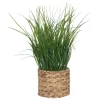 Maceta Jacinto Con Hierbas 70cm
