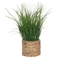 Maceta Jacinto Con Hierbas 70cm