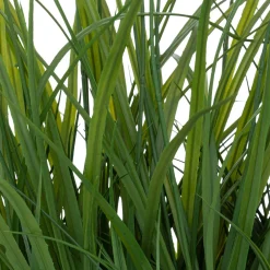 Maceta Jacinto Con Hierbas 70cm