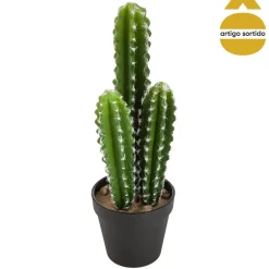 Maceta Nomade Cactus Artif. 12.5x42Cm