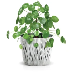 Maceta Sandy Round C/Blanco 19x17Cm