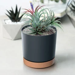 Maceta TUBO PM gris antracita 14.7x14.8x14.8cm