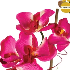 Orquídea Con Maceta De Vidrio 32Cm