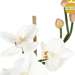 Orquídea Con Maceta De Vidrio 32Cm