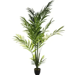 Palmera Areca Con Maceta 230Cm