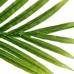 Palmera Artif. Con Maceta 170Cm