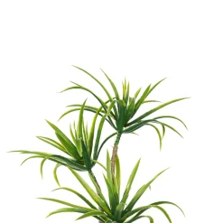 Palmera C/Maceta De Cemento 16x22x38Cm