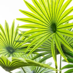 Palmera Verde 134x100x100Cm