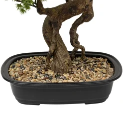 Planta bonsái artificial con maceta de 86 cm