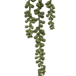 Planta Colgante Con Maceta 50Cm