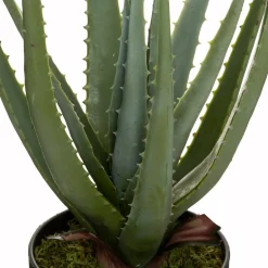 Planta De Aloe Vera Real Touch 44Cm