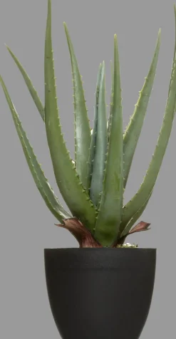 Planta De Aloe Vera Real Touch 44Cm
