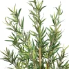 Planta De Bambú Artif.Con Maceta 126Cm