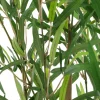 Planta De Bambú Artif. Con Maceta 90Cm