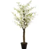 Planta De Cerezo Blanco 60x200Cm