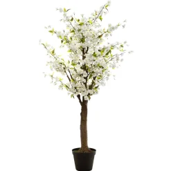 Planta De Cerezo Blanco 60x200Cm