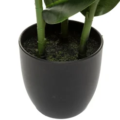 Planta Ficus Verde Oscuro 120Cm