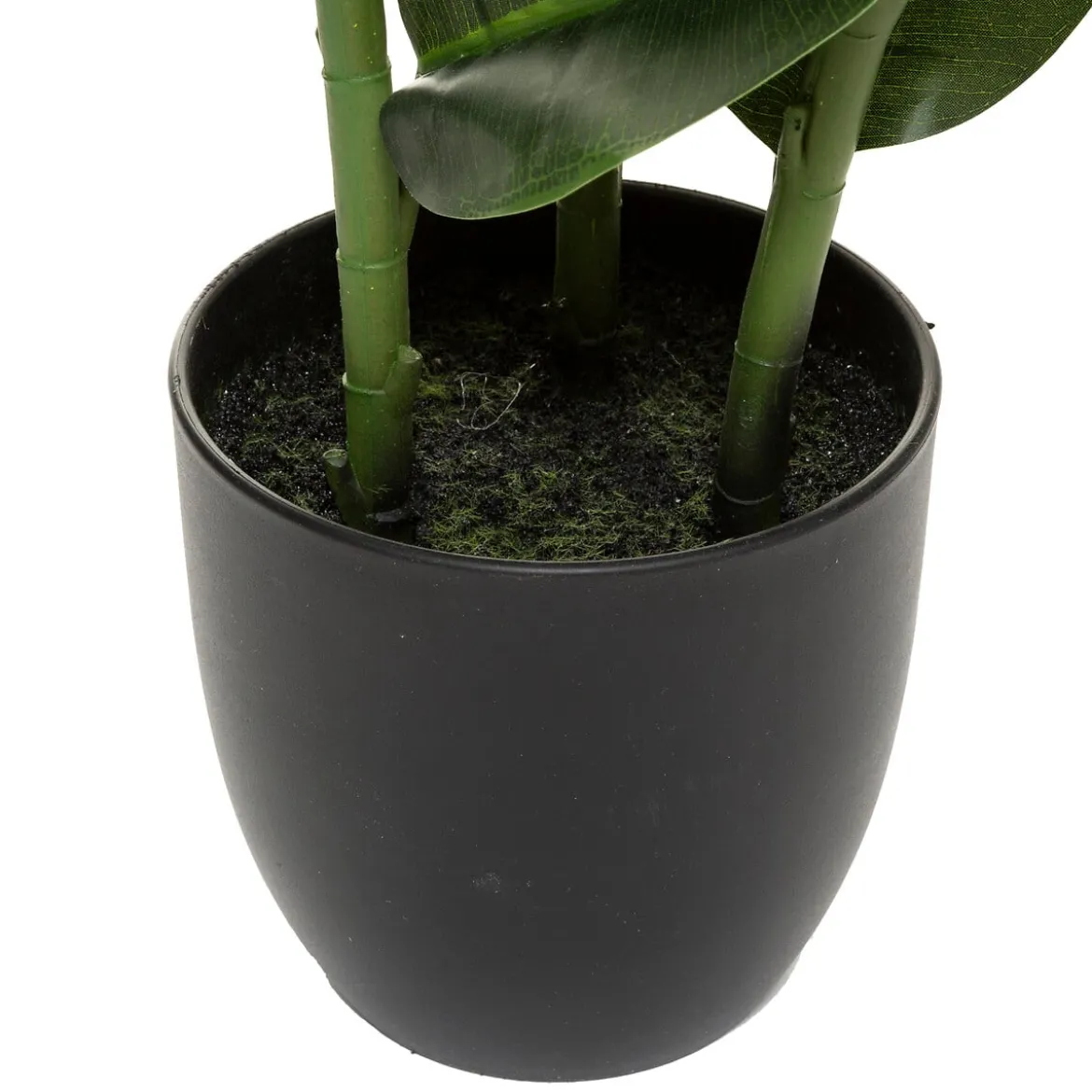 Planta Ficus Verde Oscuro 120Cm
