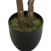 Planta Schefflera Con Maceta 130Cm