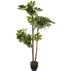 Planta Schefflera Con Maceta 130Cm