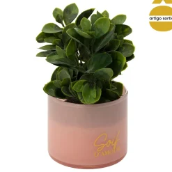 Planta suculenta TAYLI de vidrio 18 cm