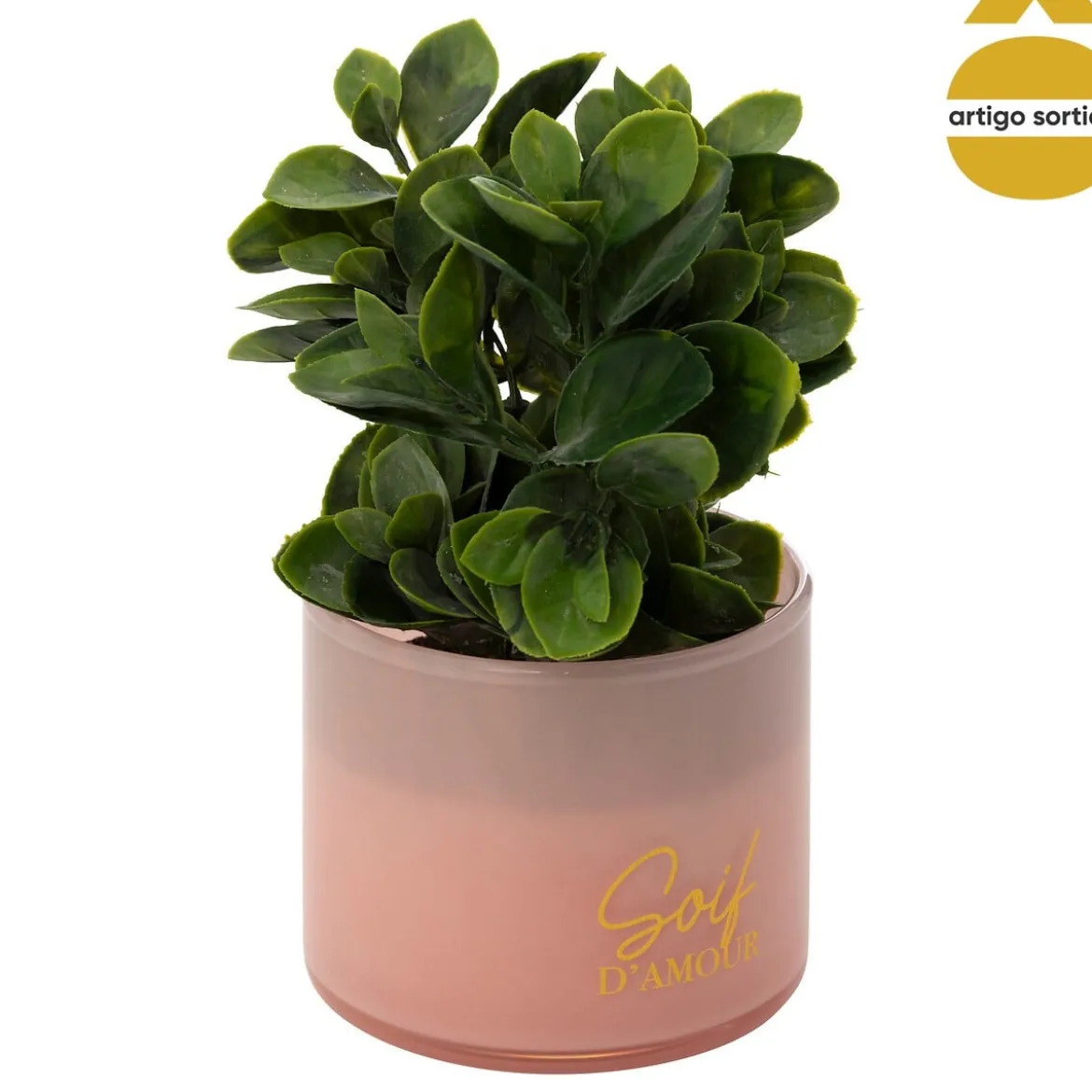 Planta suculenta TAYLI de vidrio 18 cm