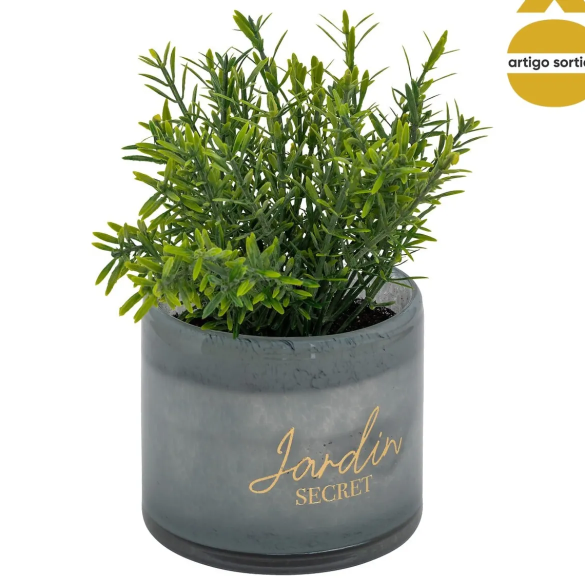 Planta suculenta TAYLI de vidrio 18 cm