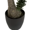 Planta Yucca Verde 130Cm