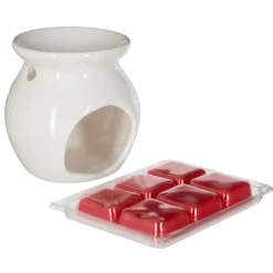 Quemador C/Cera De Frutos Rojos 30g