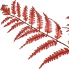 Rama Artificial Roja James