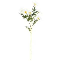 Rama De Margarita 60 cm