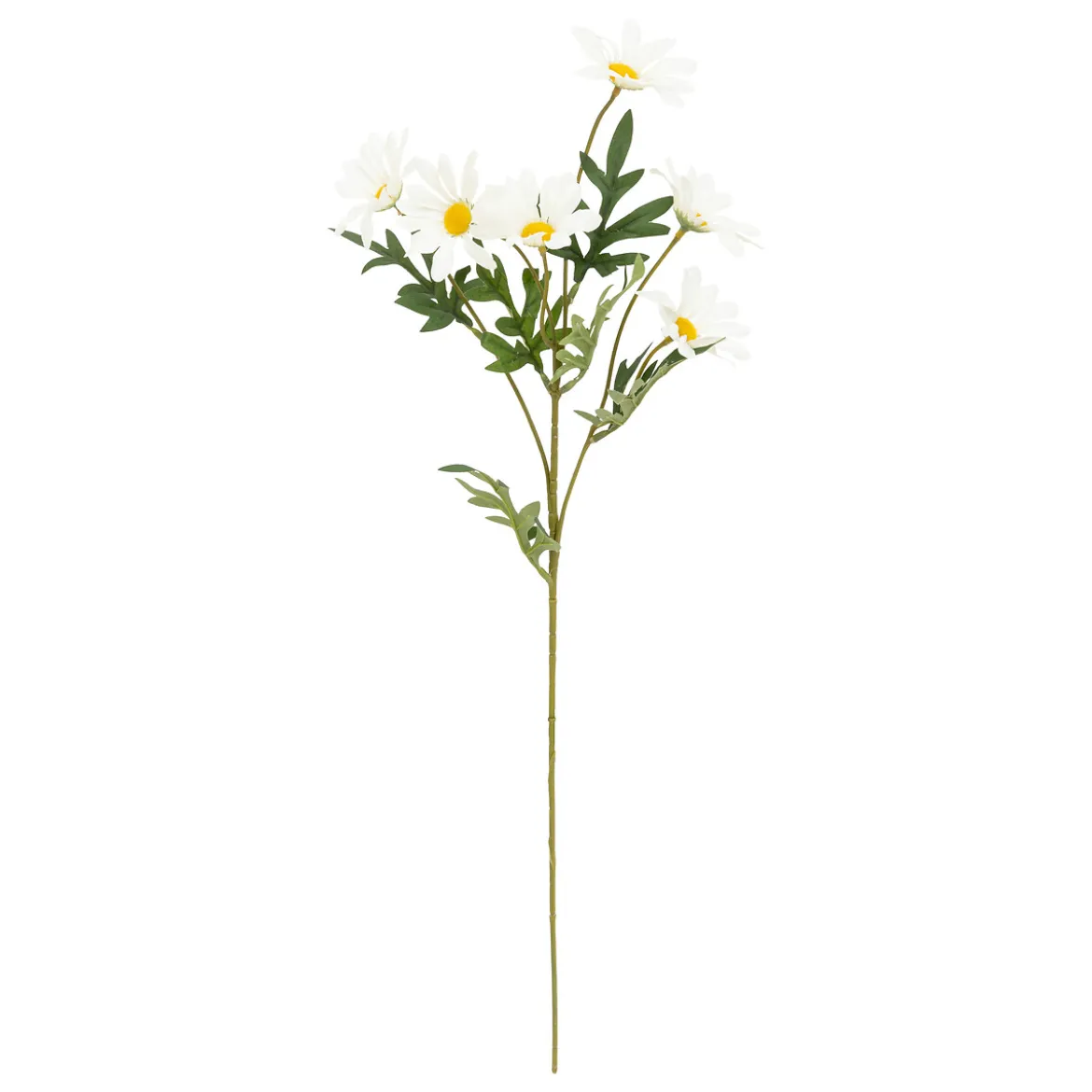 Rama De Margarita 60 cm