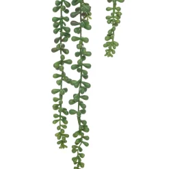 Rama De Planta Colgante Verde 7x7x37Cm