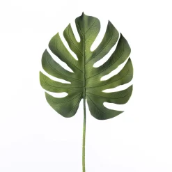 Rama Hoja Costilla De Adán Verde 85cm