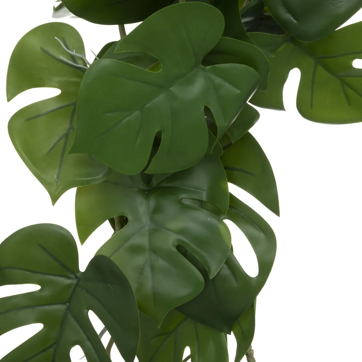 Rama Monstera Verde Colgante 25x5x85Cm