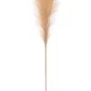 Rama pampa artificial beige 110cm