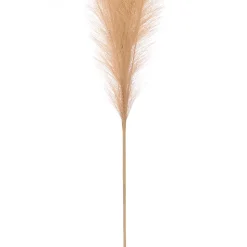 Rama pampa artificial beige 110cm