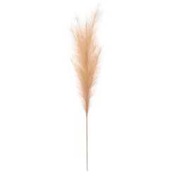 Rama pampa artificial beige 110cm