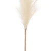 Rama pampa artificial blanca 110cm