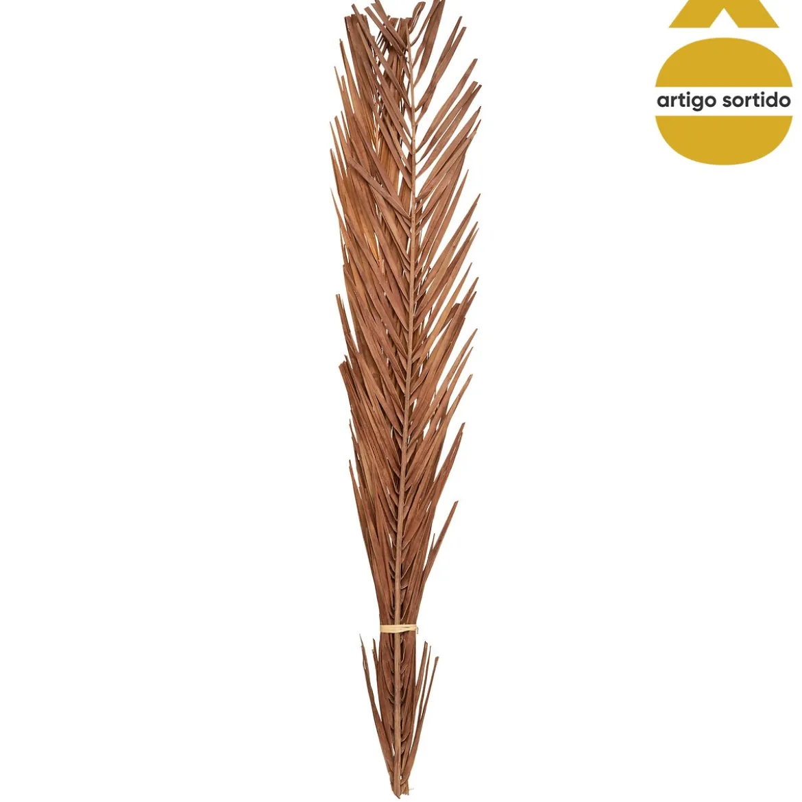 Rama Seca Natural 100Cm