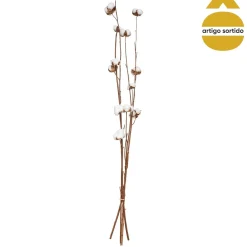 Rama Seca Natural 100Cm