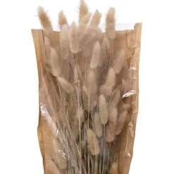 Ramo De Flores Secas Ori 18x58Cm