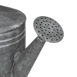 Regadera De Zinc 41.5x18x25Cm