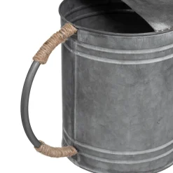 Regadera De Zinc 41.5x18x25Cm