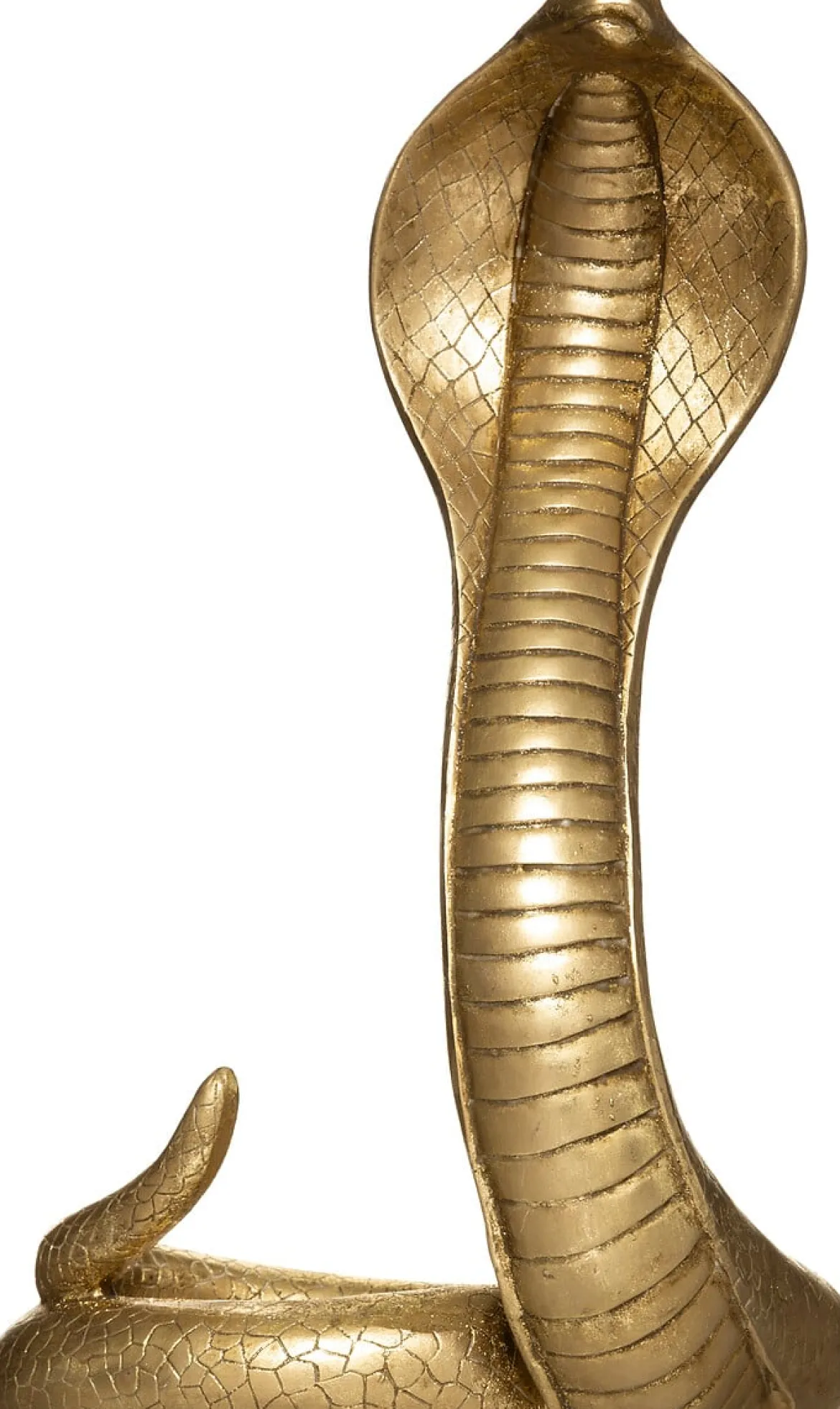 Serpiente Decorativa Poliresina 25x36Cm