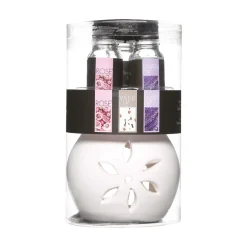 Set De Quemador Y 3 Aceites Aroma Floral
