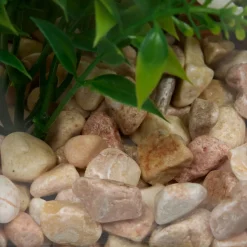 Terrario con plantas artificiales 23cm